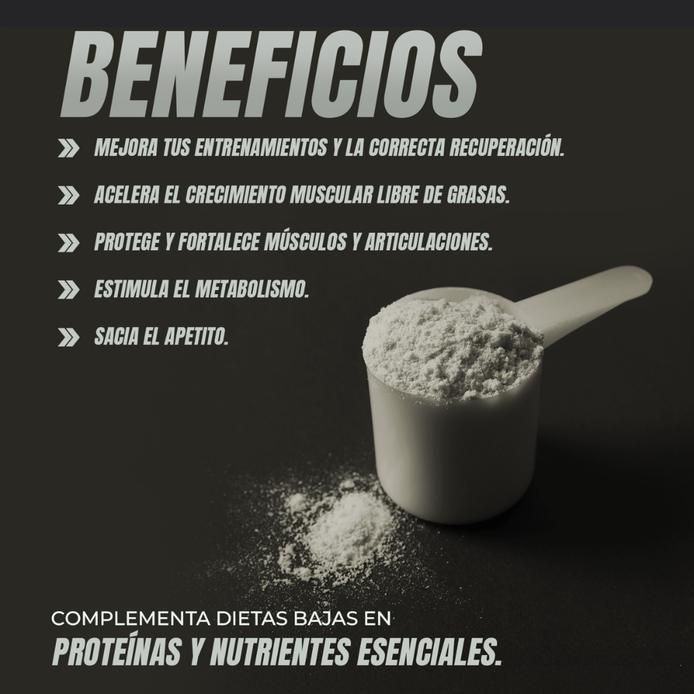 WHEY PROTEIN SALTED CARAMEL - Ferco Nutrition