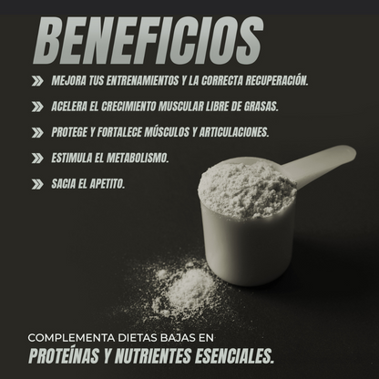 WHEY PROTEIN SALTED CARAMEL - Ferco Nutrition